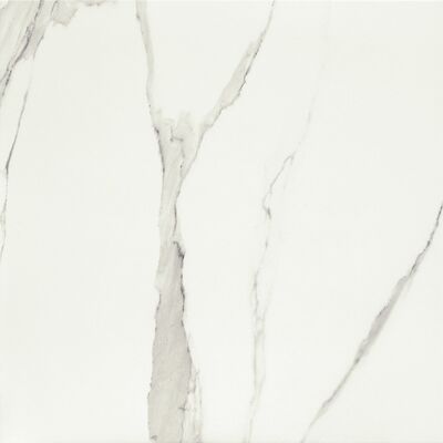Płytka podłogowa Bonella white 61 x 61 Gat.1