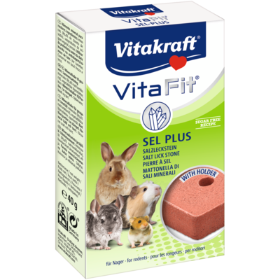 Sól dla gryzoni Vita Fit 40 g Vitakraft
