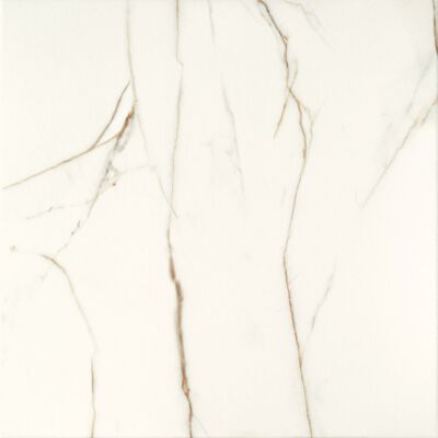 Płytka podłogowa Floris White 61 x 61 cm Gat.1