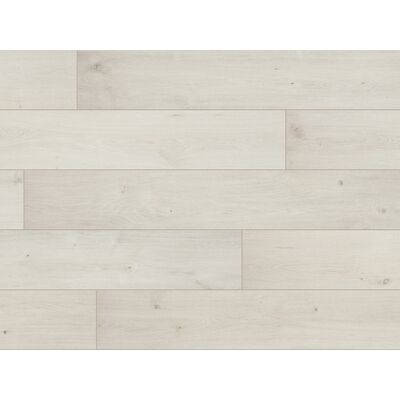 Panel Oak white mix AC4 8 mm