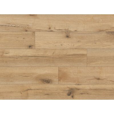 Panel Expedition 4V Patos Oak AC5 8 mm