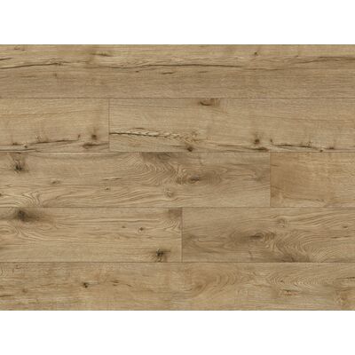 Panel Expedition 4V Sacra Oak AC5 8 mm