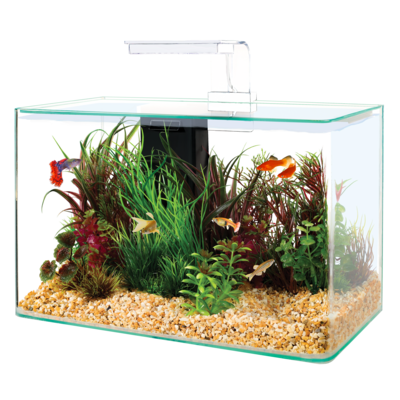Zestaw akwarystyczny AQUA CLEAR 400 x 200 x 330 mm biały Zolux