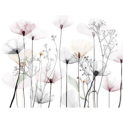 Obraz Canvas 75 x 100 ST542 MODERN POPPY