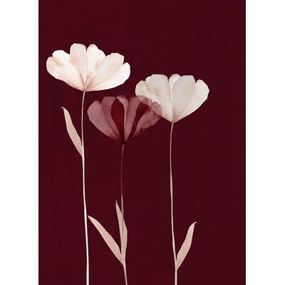 Obraz Glasspik 50 x 70 GL303 MAROON GLAM