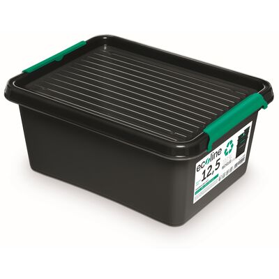 Pojemnik do przechowywania Ecolinebox 12.5