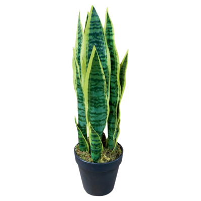 Kwiat sztuczny Sansewieria gwinejska 45 cm