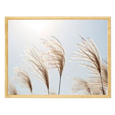 Fotografia w drewnianej ramce wałek 30 x 40 - Grass