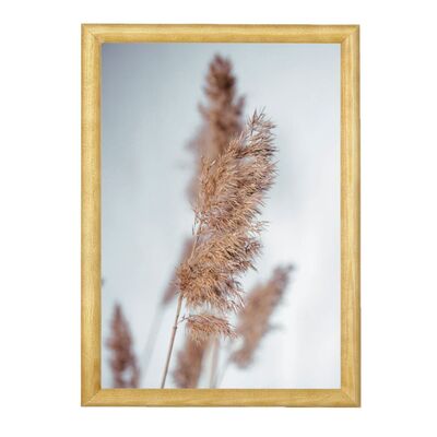 Fotografia w drewnianej ramce wałek 20 x 30 - Reeds grass