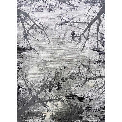 Dywan Zara 9662 80 x 150 cm grey