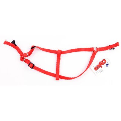 Szelki taśma regulowane 50 cm czerwone CHICO