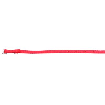 Obroża taśma 16/46 cm czerwona CHICO