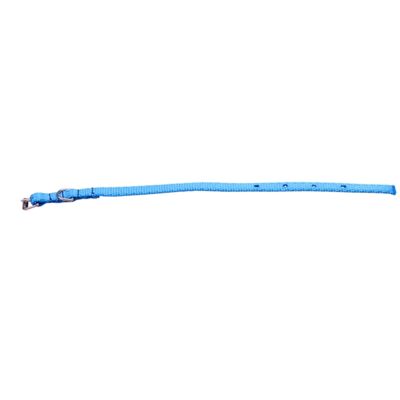 Obroża taśma 25/70 cm niebieska CHICO