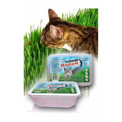 Trawa szybkorosnąca 150 g Certech