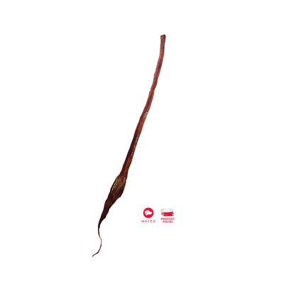 Przysmak suszony penis wołowy cały 70 cm 140 g Maced