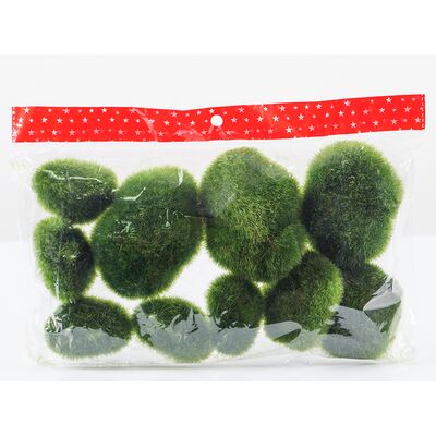 Kamienie omszałe 10 cm