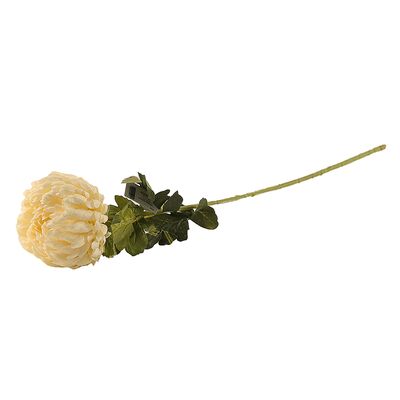 Chryzantema pojedyncza 75 cm żółta