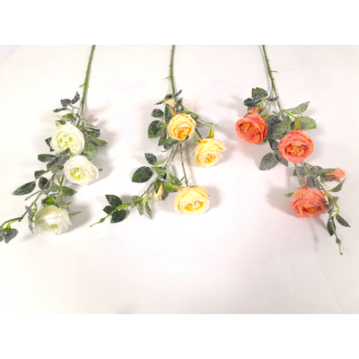 Róża 85 cm mix