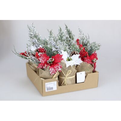 Stroik w doniczce 26 cm ośnieżony mix