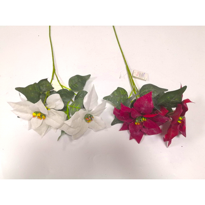Gałązka poinsecji 2 kwiaty 63 cm mix