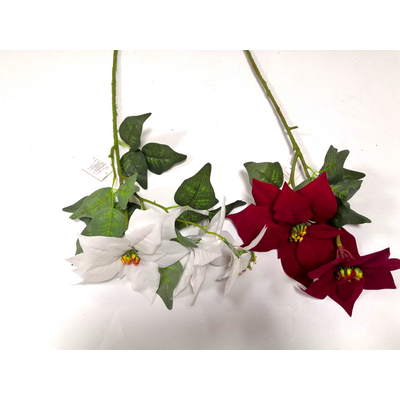 Poinsecja 85 cm mix