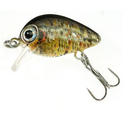 Wobler ATRACT PIXEL F 2,5 cm