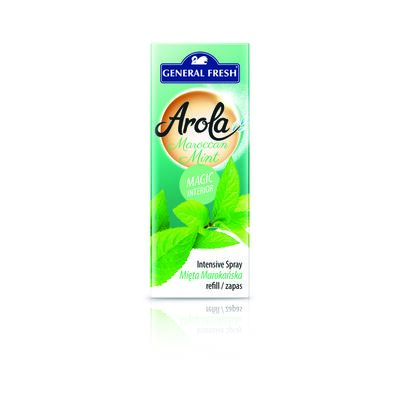Odświeżacz powietrza Szyszka zapas Arola Magic Interior marokańska mięta 40 ml General Fresh