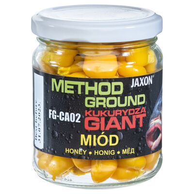 Kukurydza GIANT MIÓD 125 g FG-CA02