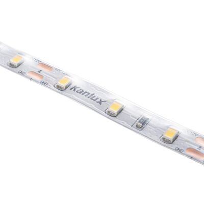 Taśma LED 5 m L60 11W/M 12 IP65-CW