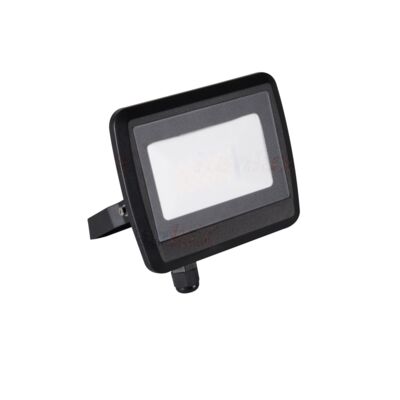 Naświetlacz ANTEM LED 30 W neutralna biel NW B