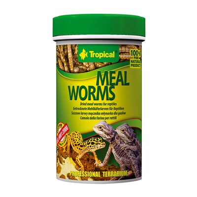 Pokarm terra meal worms 100 ml 13 g Tropical
