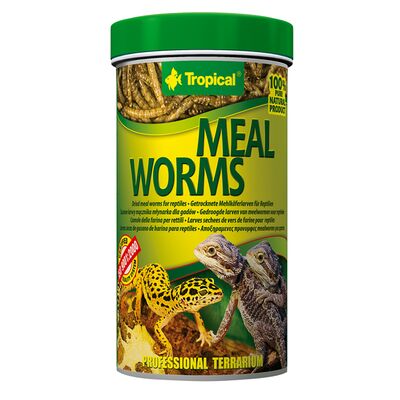 Pokarm terra meal worms 250 ml 30 g Tropical