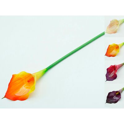 Calla pojedyncza gumowana 56 cm