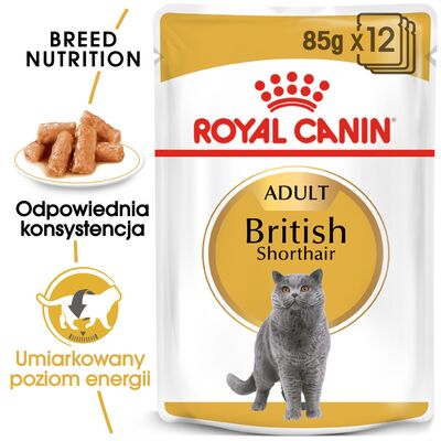 Karma mokra w sosie dla kotów dorosłych brytyjski krótkowłosy 85 g British Shorthair ROYAL CANIN