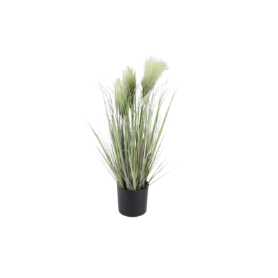 Trawa w doniczce 70 cm