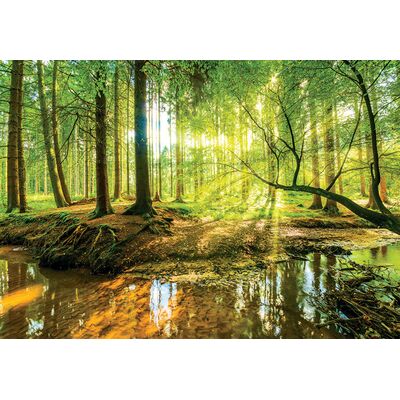 Fototapeta Madex 10513 P4