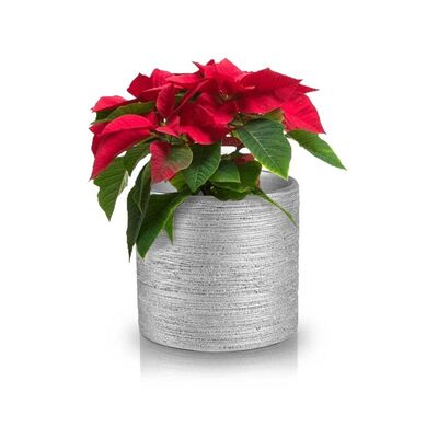 Osłonka walec srebrny 14 cm