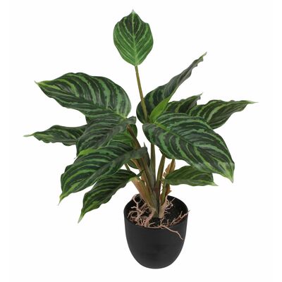 Sztuczny kwiat w doniczce AGLAONEMA 35 cm
