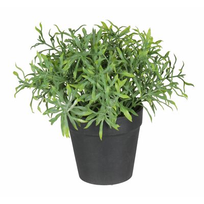 Sztuczny kwiat w doniczce HERBS 1 20 cm zielony