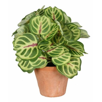 Sztuczny kwiat w doniczce PEPEROMIA 22 cm