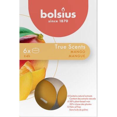 Podgrzewacz zapachowy 4h EE TS mango 6 szt.