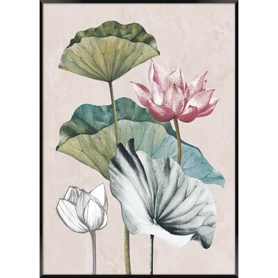 Obraz ARTBOX DIGI 50 x 70 cm AB138 PLANTS