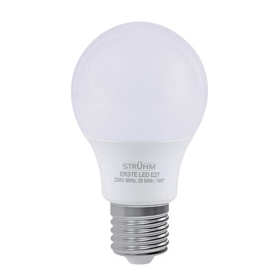 Żarówka z diodami ERSTE LED E27 8W NW STRÜHM