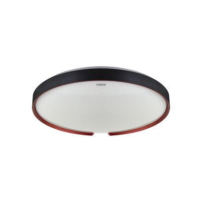 Plafoniera ESPERANTO LED czarna 24W STRÜHM