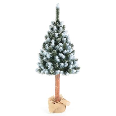 Sosna diamentowa na pniu 220 cm