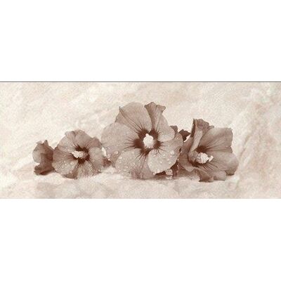 Dekor MALWA (4) 25 x 60 cm gat. I