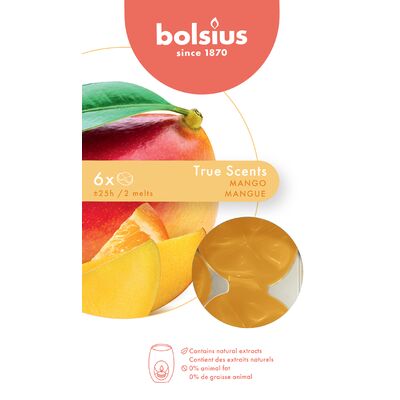 Woski zapachowe mango 6 sztuk BOLSIUS