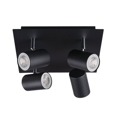Oprawa ścienno-sufitowa EL-4O B-SR 4 x 10W EVALO