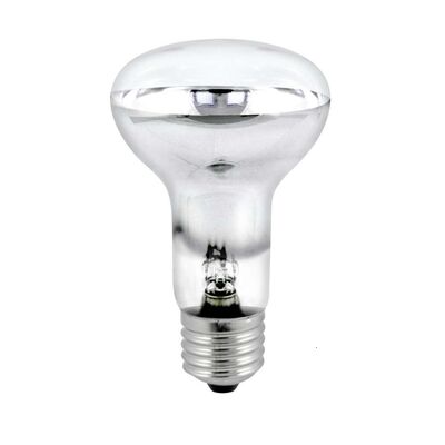 Żarówka specjalistyczna E-14 40 W grzybek R39