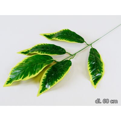 Liść mango gałązka 60 cm